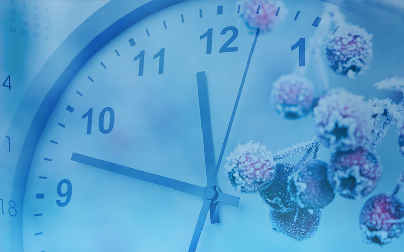 Öffnungszeiten Weihnachten/Neujahr